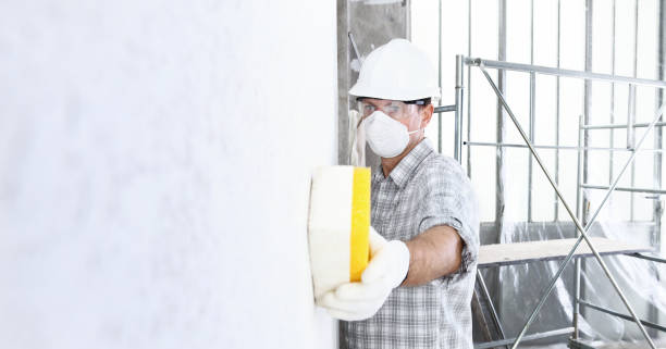 Reliable South Huntington, NY Mold Removal Solutions